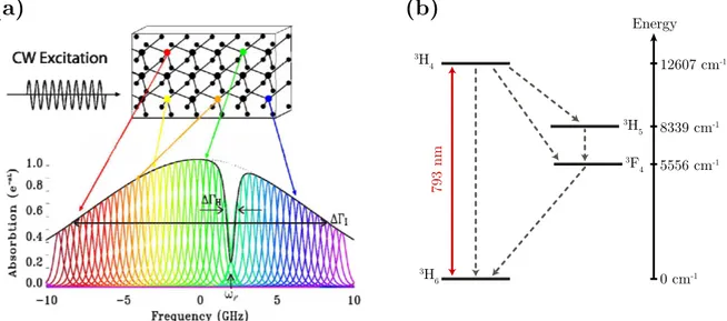 Figure 2.7 – (a) Absorption spectrum of a crystal with a spectral hole burned at ω P 