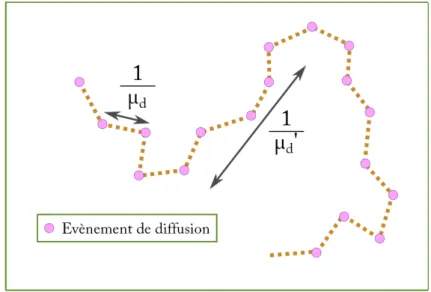 Figure 1.2 – Représentation schématique de la différence entre le coefficient de diffusion µ d et le