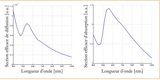 Figure 3.2 – Sections efficaces d’absorption et de diffusion calculées à l’aide de l’équation 3.4 pour une nanoparticule sphérique d’or de 5 nm de diamètre.