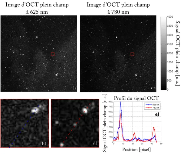 Figure 3.7 – Images d’OCT plein champ d’un gel d’agarose contenant des nanoparticules cœur-