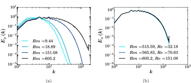 Figure II.13 – Figure shows the magnetic energy spectra E B (k) as a function of k for