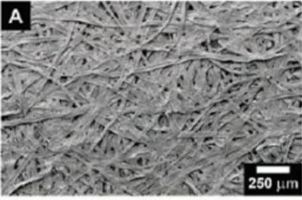 Figure 0.1: Scanning electron micrograph of ordinary paper made from wood pulp fibre, Science.