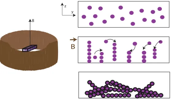 Figure 1.15: Principle of fabrication of fibers using super-paramagnetic particles