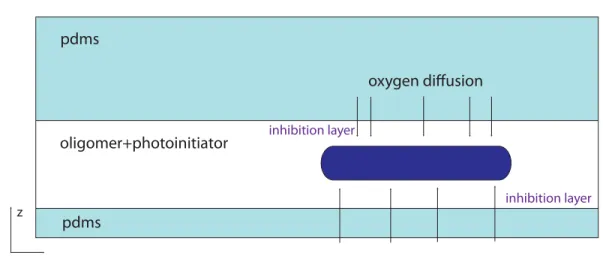 Figure 2.5: Schematic drawing of inhibition layers above and below a fiber fabricated with projection photo-lithography.