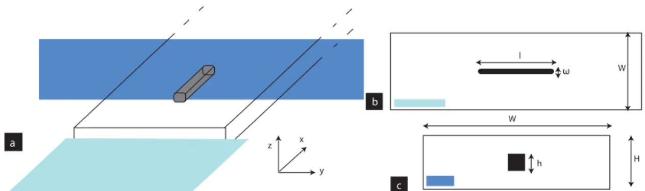 Figure 5.1: Schematic drawing of the microchannel geometry with a suspended fiber moving parallel to the flow direction (a)