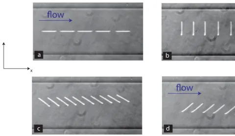 Figure 5.4: Flow of a confined fiber away from the lateral boundaries with different initial orientations with the flow direction