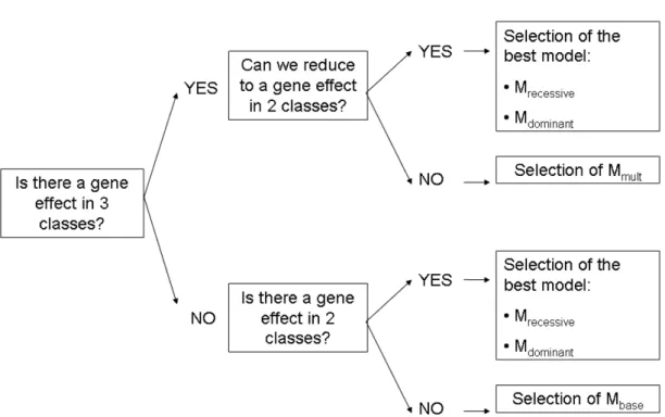 Figure 1 Decision path used to choose the best model for the selection strategies based on tests.