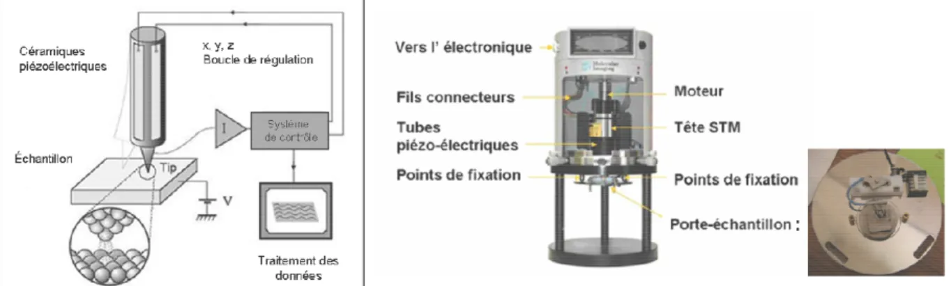 Figure 14.  Gauche : schéma de principe de fonctionnement d’un microscope à effet tunnel