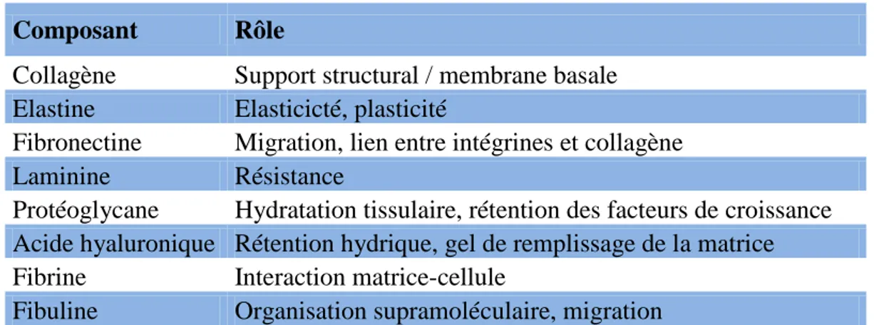 Tableau 4 : Principaux composants de la matrice extracellulaire et leurs fonctions (Frantz et  al, 2010)