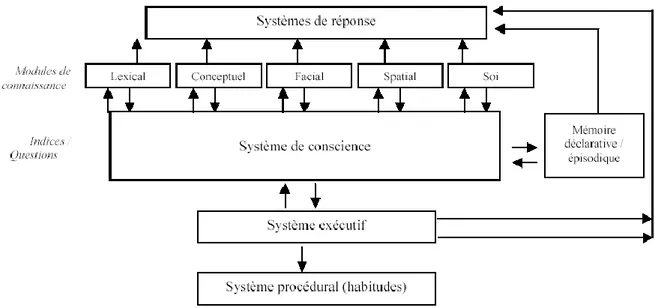 Figure 3 : Représentation schématique du modèle DICE (d'après Schacter, 1989, p. 364)