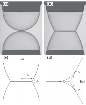 Figure 2. Images of a double bubble static adhesion experiment (a)