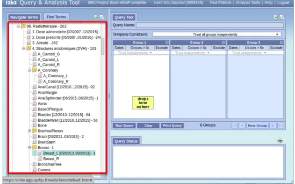 Figure 6. Interface du CDW sous i2b2 