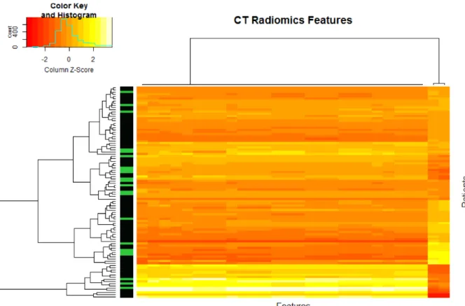 Figure 7. Clustering non supervisé des profils radiomics. Deux phénotypes sont retrouvés : le premier  groupe comprend la grande majorité des patients en réponse complète (86%)