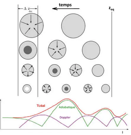 Figure 2.4.3: Mécanisme des oscillations acoustiques. La première ﬁgure représente l’évolution des structures de diﬀérentes tailles à la recombinaison