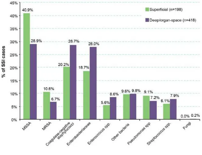 Figure  n°1  :  Micro-organismes  isolés  d’ISO  en  fonction  de  la  profondeur  de  l’infection  en  Grande-Bretagne