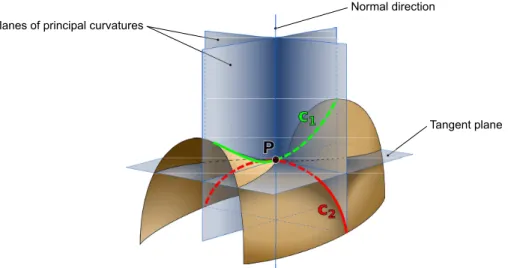 Figure 1.8: Sketch representing the principal curvatures c 1 and c 2 at a saddle point P