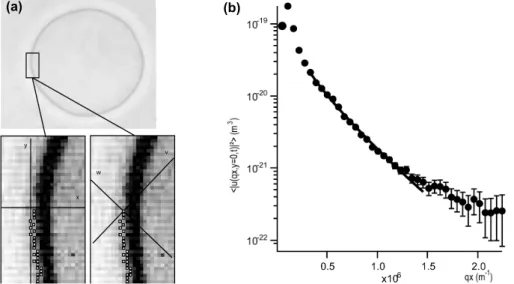 Figure 1.10: (a): High-resolution detection of the contour of a quasi-spherical GUV observed under the microscope