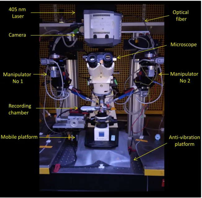 Figure  6-1.  Main  components  of  the  electrophysiological  setup  for  simultaneous  dual whole-cell  patch-clamp recordings and photolysis experiments