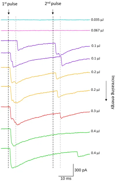 Figure 6-4. RRP release by Ca 2+  uncaging from the cage compound DM-nitrophen (DMNP)