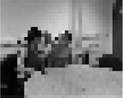 Figure 1.13 – Image sampled at coarse resolution (black sampling grid) [11]