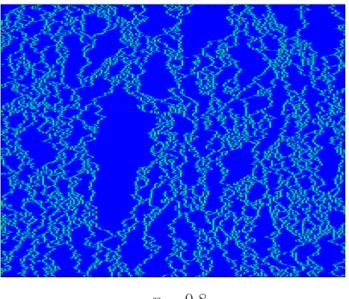 Figure 1.4: Simulation of the FA-1f model in dimension 1 at density p = 0.8. The setting is the same as in Figure 1.2 and the picture is also the work of Arturo Leos Zamorategui.