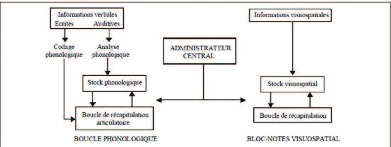 Figure 2. Modèle de la mémoire de travail (daprès Baddeley, 1991) 