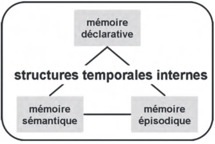 Figure 4. Modèle de la mémoire déclarative (daprès Squire, 2004) 