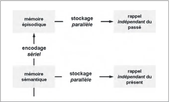 Figure 7. Modèle SPI (daprès Tulving &amp; Markowitsch, 1998) 