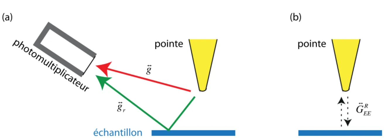 Figure 2.6 – Deux phénomènes simultanés pour comprendre la diffusion de la pointe : (a) Repré- Repré-sentation des deux principales propagations qui contribuent au champ sur le détecteur (b) Représente l’interaction entre la pointe et l’échantillon, modélisé par G R