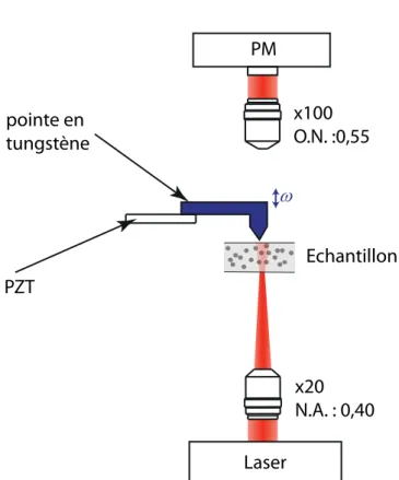 Figure 2.9 – Montage initial du microscope de champ proche