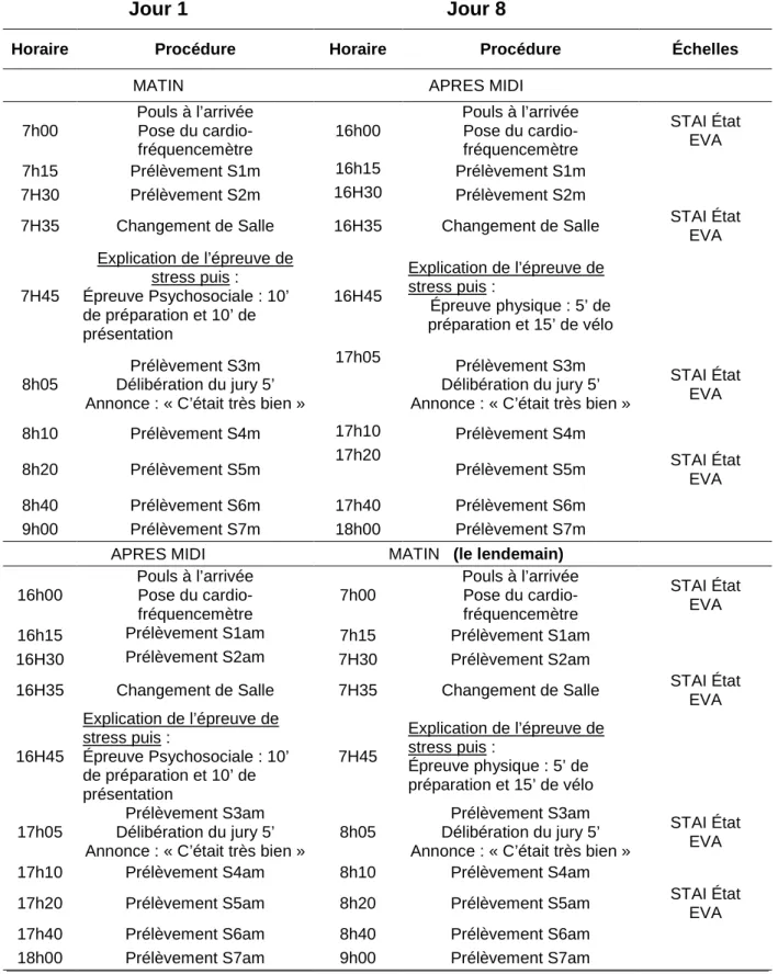 Figure 2: Horaires de la procédure expérimentale