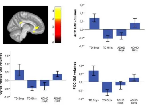 Figure  4:  Statistical  Parametric  Maps  showing  foci  of  significant  interactions  between  diagnosis and sex 