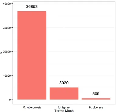 Figure 1. Nombre d'articles référencés dans PubMed pour M. tuberculosis, M. leprae et M