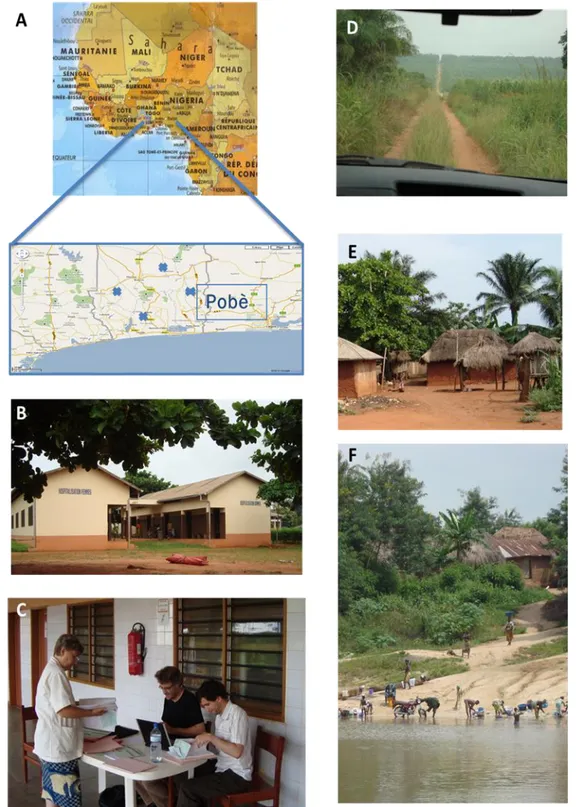 Figure 15. Le lieu de l'étude : Pobè, région de Ouémé-Plateau, Bénin 