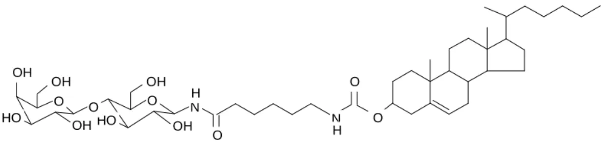 Figure 1 : Formule du ligand lactosylé destiné à interagir avec les ASGPr 9