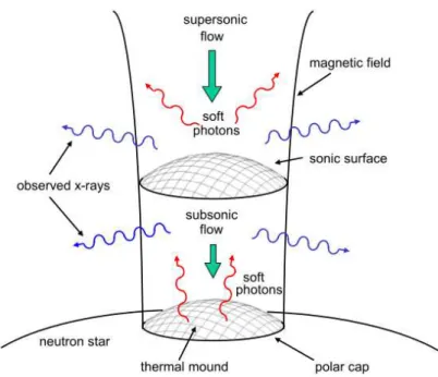 Fig. 1.5.: Schematic x-ray spectra from various types of pulsars, from Becker (2009)