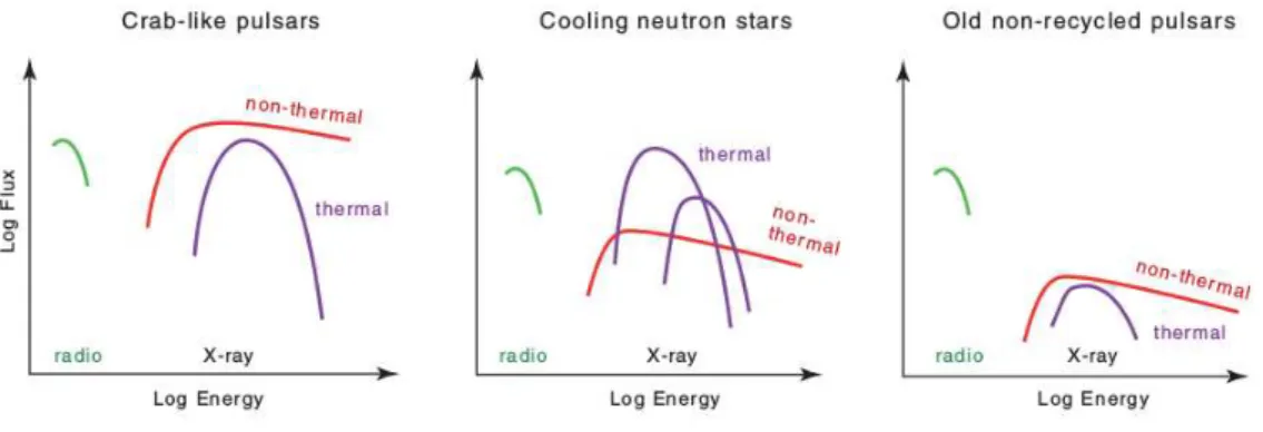 Fig. 1.7.: From Becker (2009). Schematic x-ray spectra from various types of pulsars. See text for millisecond pulsars.