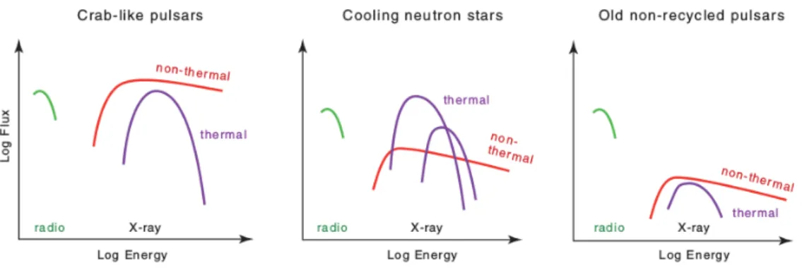 Fig. 1.7.: From Becker (2009). Schematic x-ray spectra from various types of pulsars. See text for millisecond pulsars.