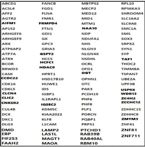 Tableau 2: Liste des gènes X-LID 