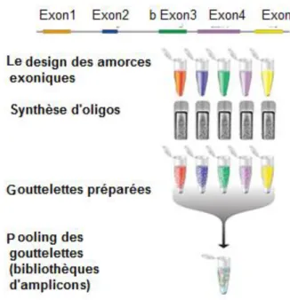 Figure 8: la construction de la bibliothèque d'amplicon par Rain-Dance 
