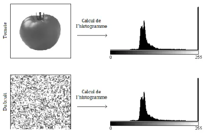 Figure 2.3 – Deux images ayant le même histogramme des niveaux de gris 