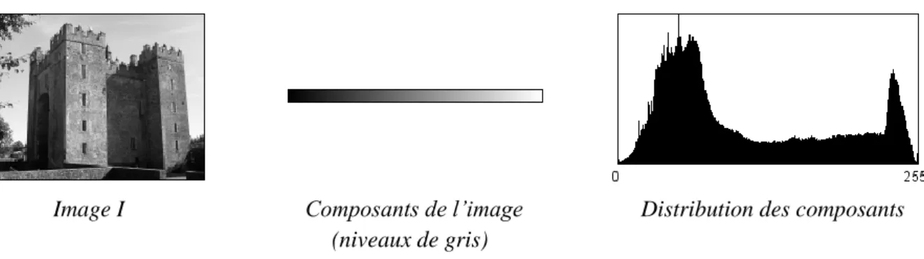 Figure 2.17 – Image en 256 niveaux de gris, où chaque élément de la base de représentation est utilisé 
