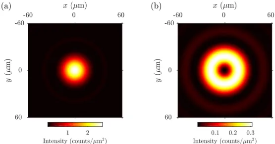 Figure 1.5 – Intensity distributions in the image plane respectively generated by (a) a dipole oriented in the object plane and (b) a dipole oriented along the normal to the object plane
