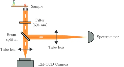 Figure 2.8 – Detection part of the optical setup. EM-CCD stands for electron-multiplying charge-coupled device.