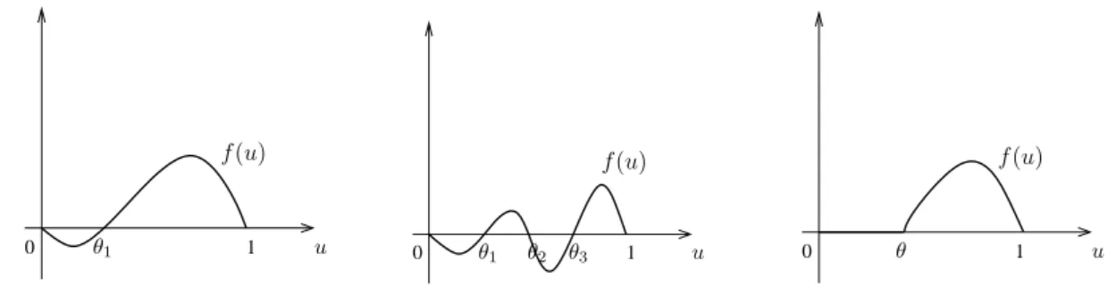 Figure 13 – From left to right, top to bottom : KPP function, monostable, bistable, multistable and combustion.