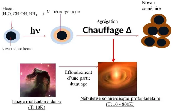 Figure 1.20 : Schéma simplifié représentant la formation de la composante organique contenue dans les 