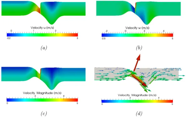 Figure 3.4: Surface level of the solution with shock and (a) horizontal velocity, (b) vertical velocity and (c) velocity norm, (d) velocity field (arrow).
