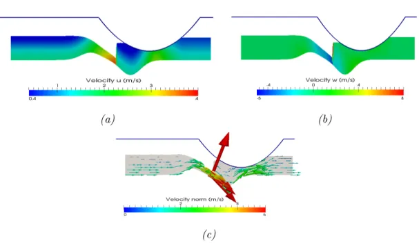 Figure 3.5: Surface level of the solution with partially free surface (a) horizontal velocity u, (b) vertical velocity w and (c) velocity norm (with arrows).