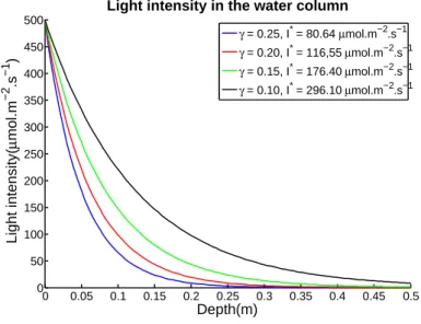 Figure 4.2: Light intensity in the water column for a concentration in nitrogen equal to 5.0 gN.m −3 .