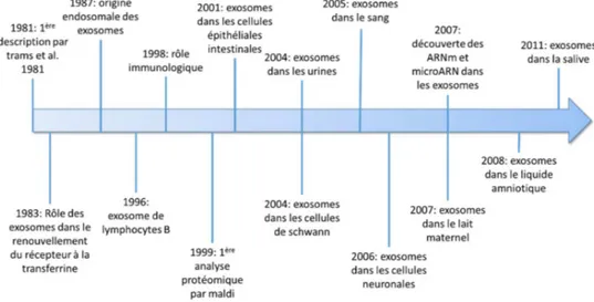Figure 2 : Historique des différentes évolutions qu’a connu le champ de recherche sur les exosomes, depuis leur première  description en 1981 jusqu’à aujourd’hui